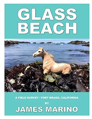 Download Glass Beach: A Field Survey / Fort Bragg, California - James Marino | PDF