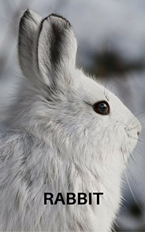 Read RABBIT: PHOTO BOOK RABBIT , PHOTO BOOK RABBITS - Patricia Kent | PDF