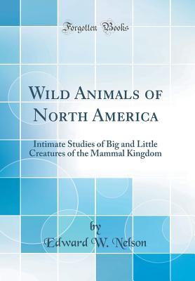 Read Wild Animals of North America: Intimate Studies of Big and Little Creatures of the Mammal Kingdom (Classic Reprint) - Edward William Nelson file in ePub