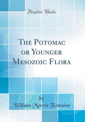Read The Potomac or Younger Mesozoic Flora (Classic Reprint) - William Morris Fontaine file in PDF
